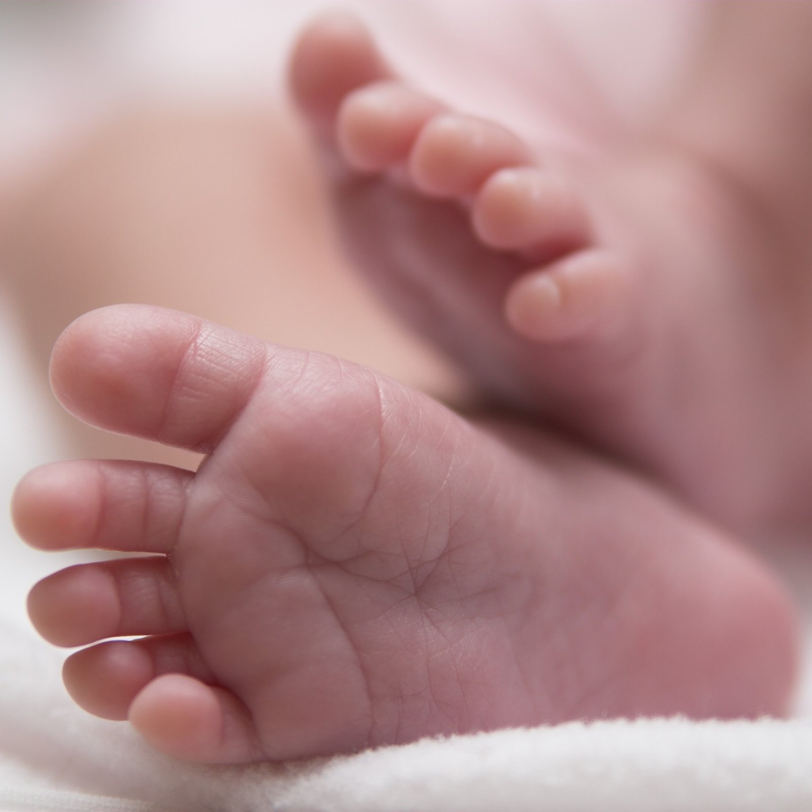 A close-up of newborn baby feet